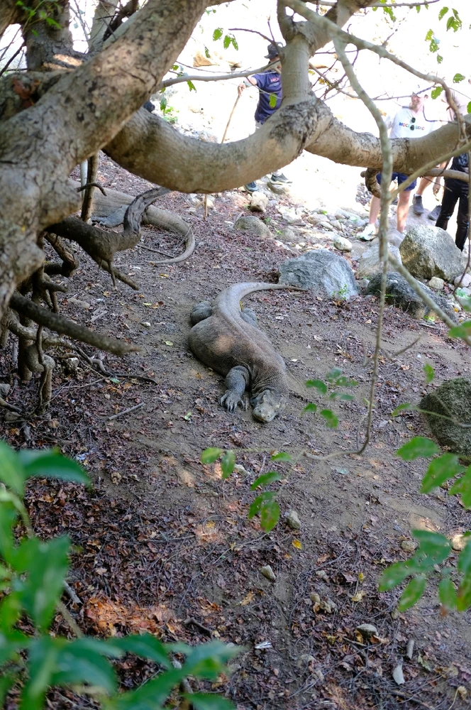 Image uploaded by Winda