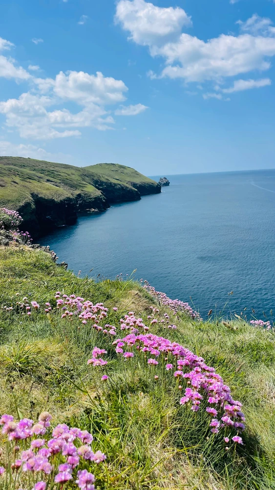 Image uploaded by Sylvia