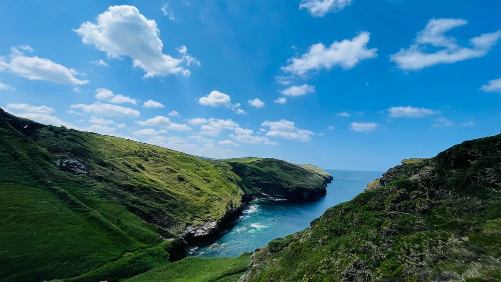 Image uploaded by Sylvia