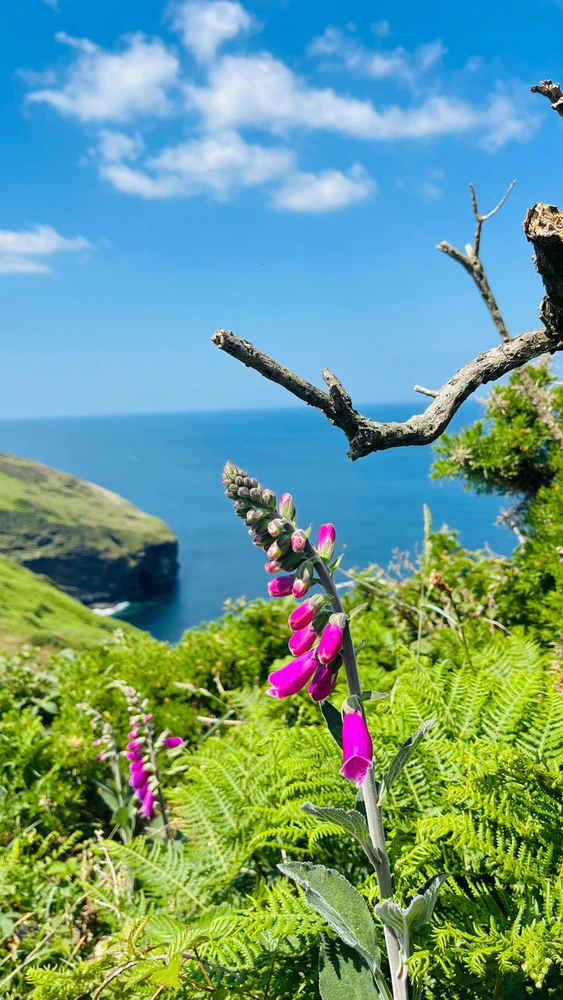 Image uploaded by Sylvia