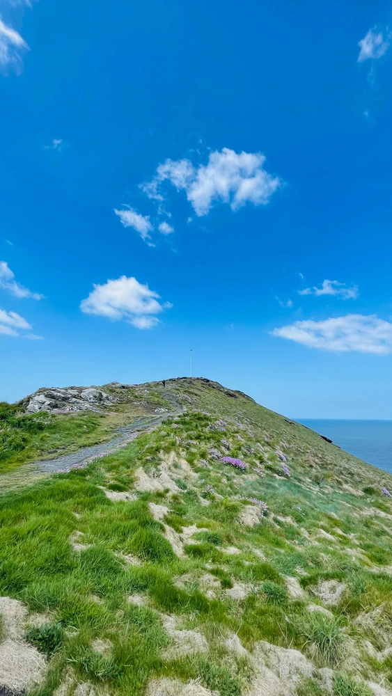 Image uploaded by Sylvia