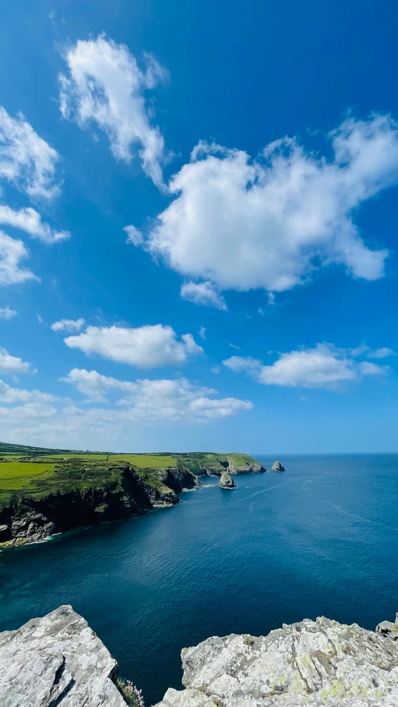 Image uploaded by Sylvia