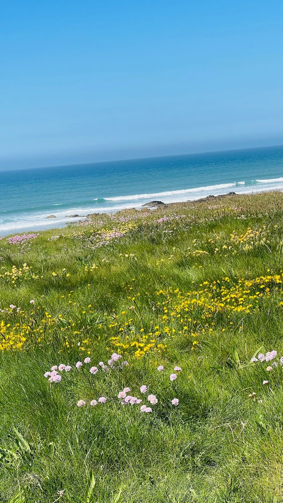 Image uploaded by Sylvia