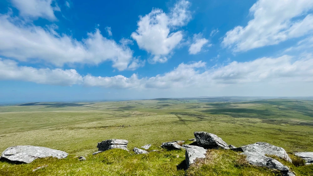 Image uploaded by Sylvia