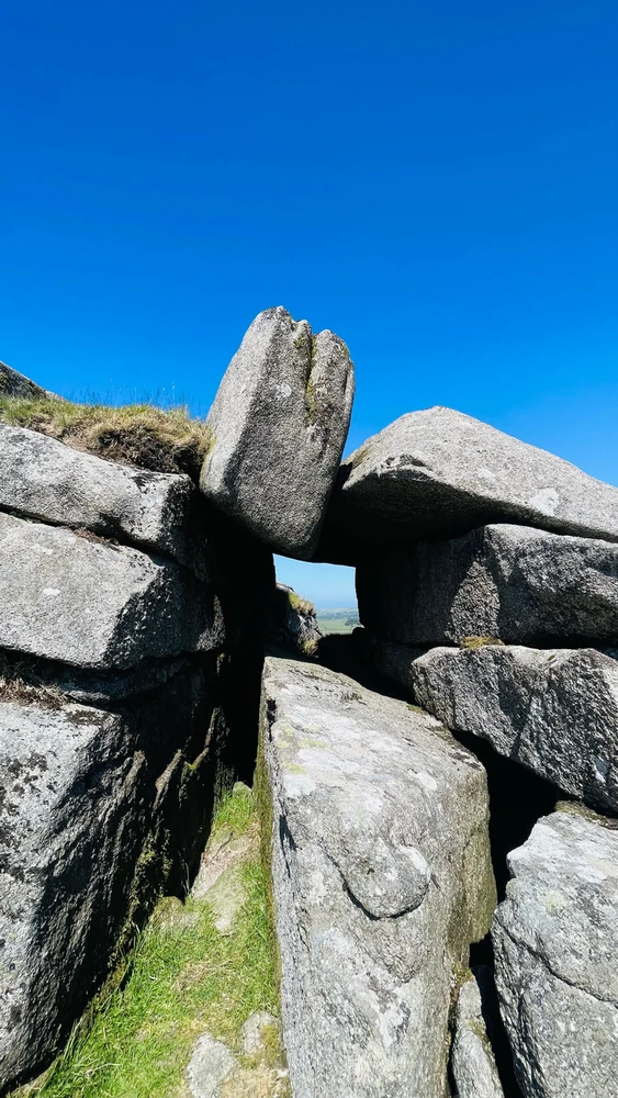 Image uploaded by Sylvia