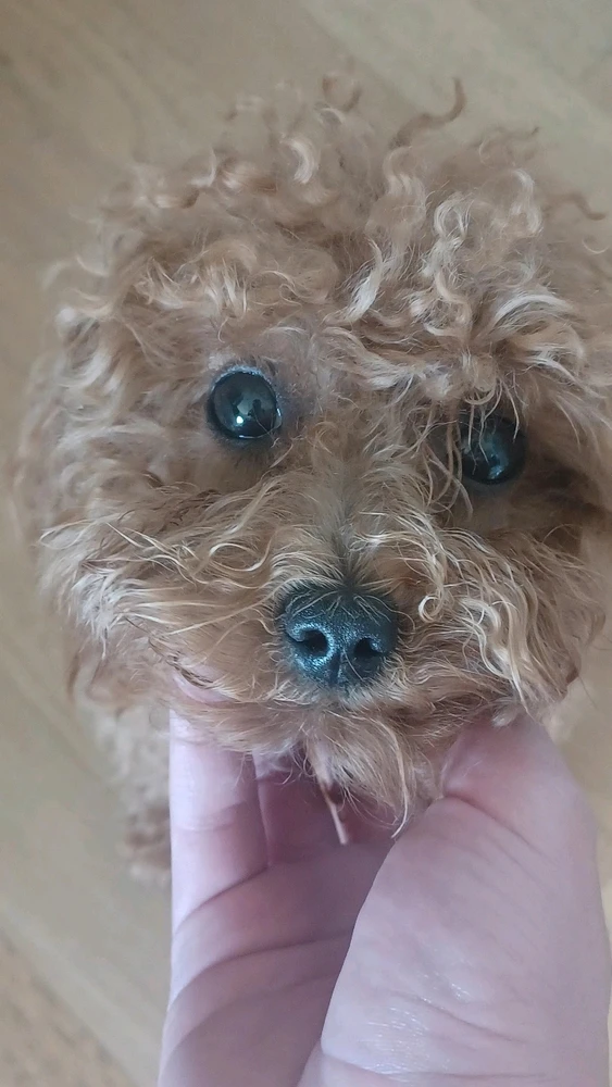 GIF uploaded by Maurizio