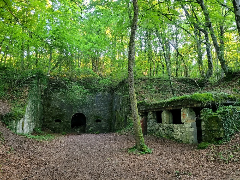 Bild hochgeladen von Mario