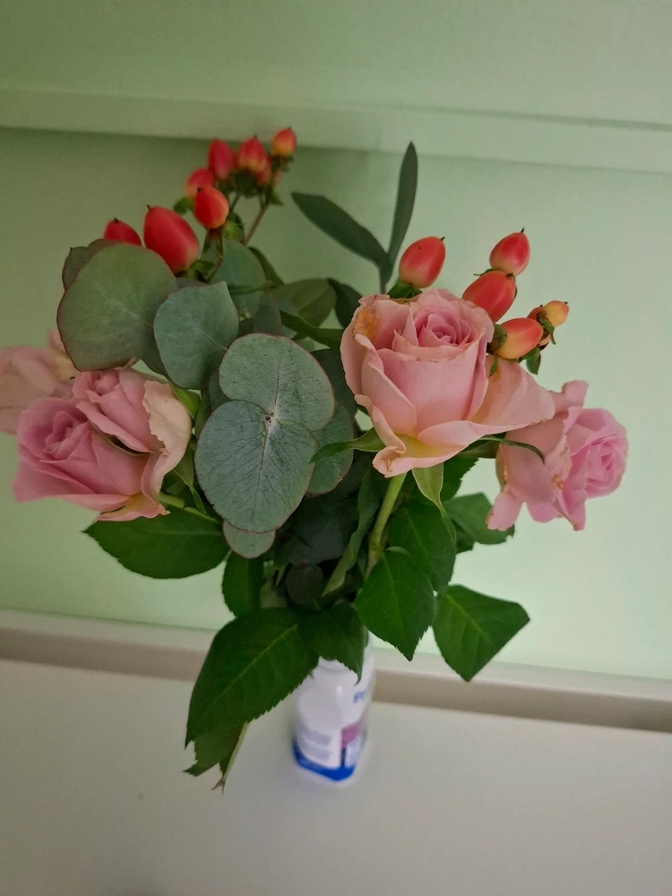 Obrázek nahrál Halina