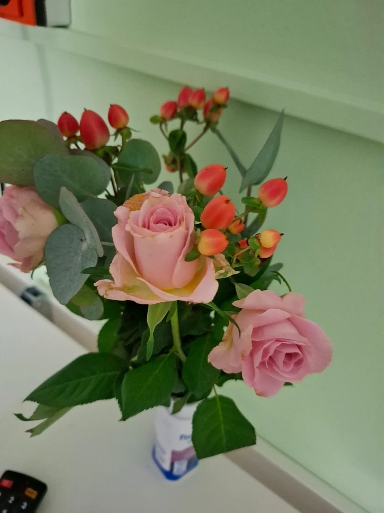 Obrázek nahrál Halina