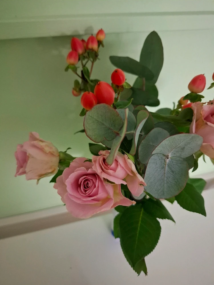 Obrázek nahrál Halina