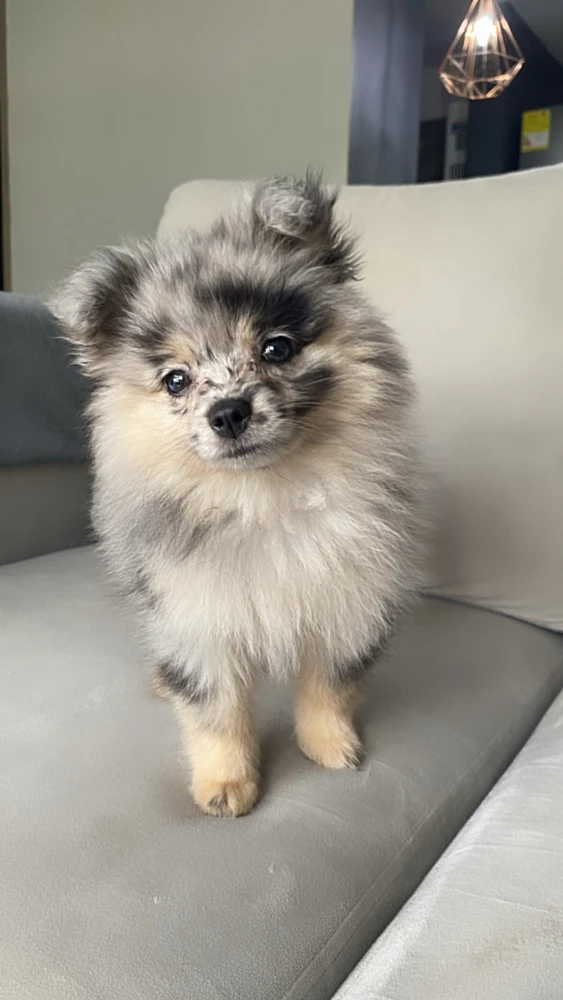 Ella es simplemente hermosa 🤩