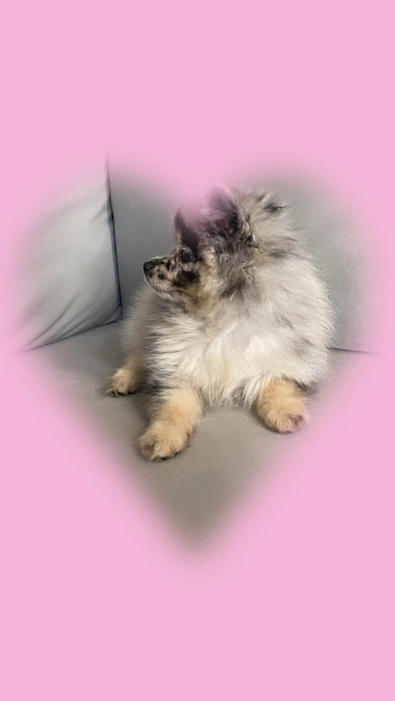 Ella es simplemente hermosa 🤩