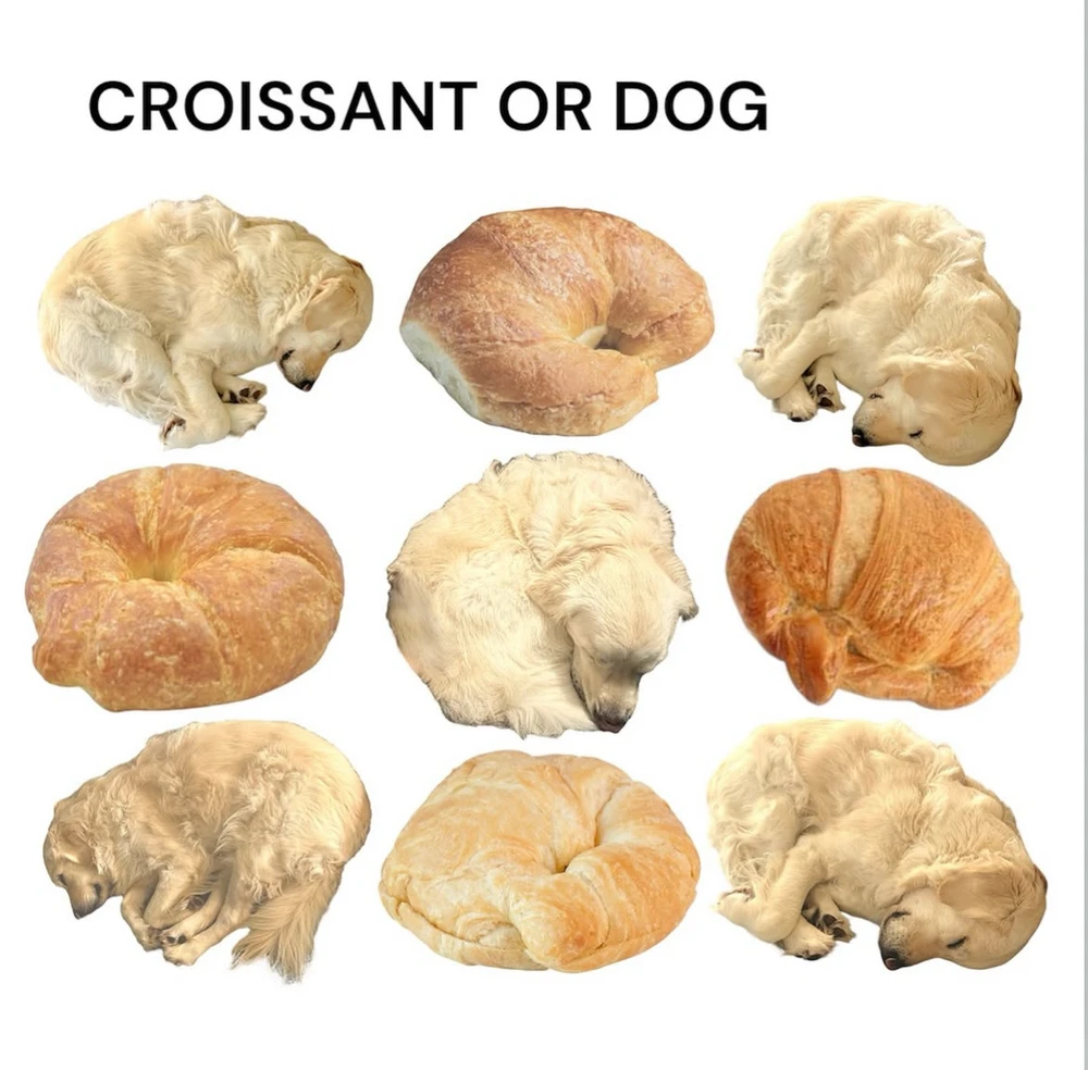 Obrázek nahrál Irónia