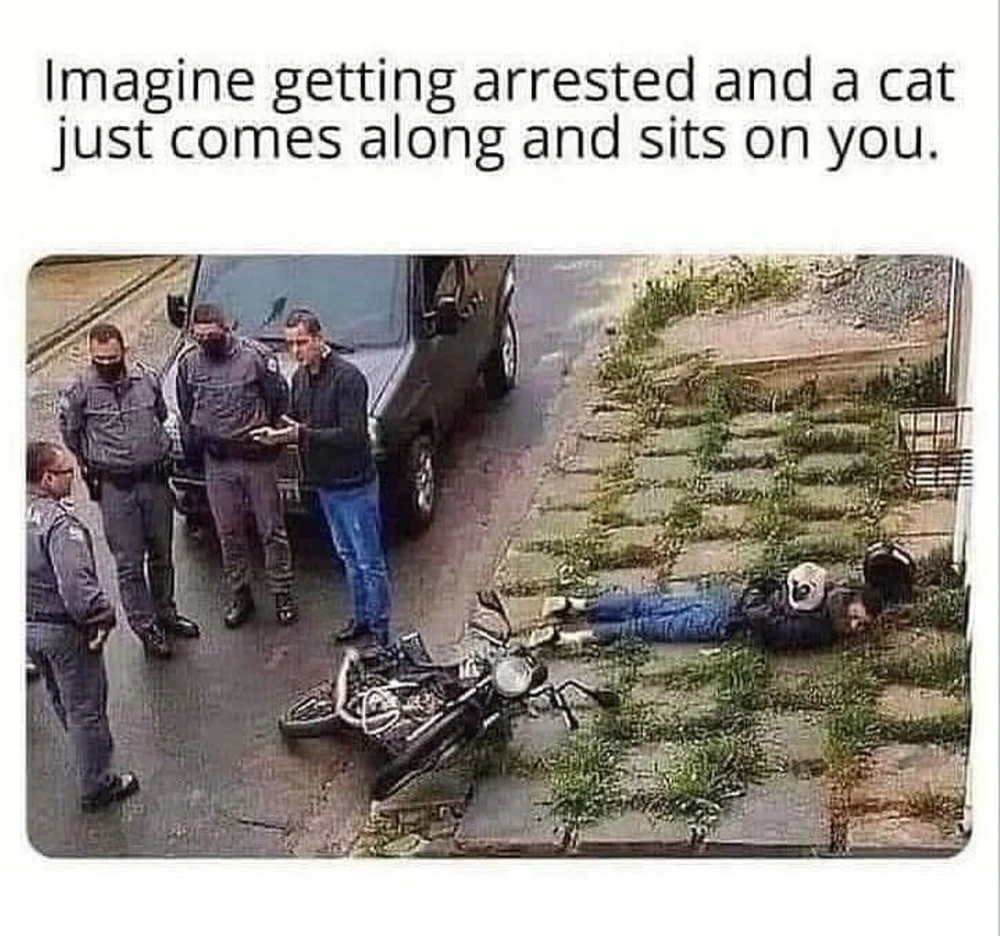 Obrázek nahrál Irónia