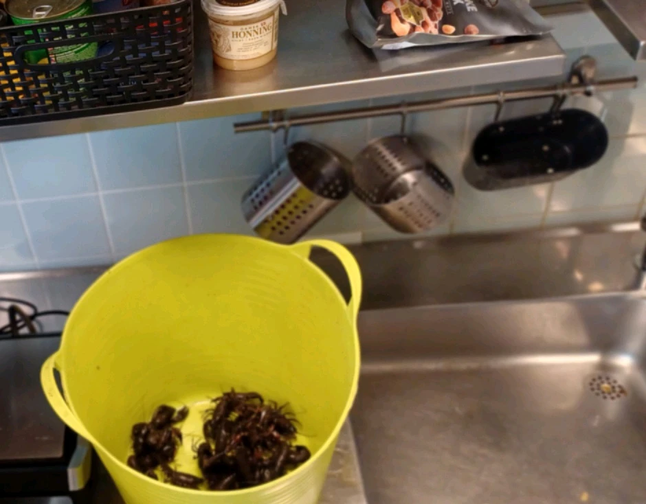 GIF uploadet af Helge