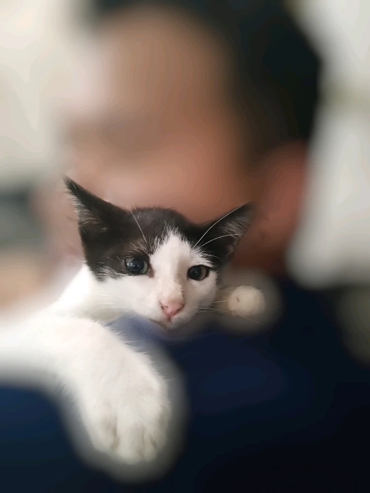 GIF uploaded by JL