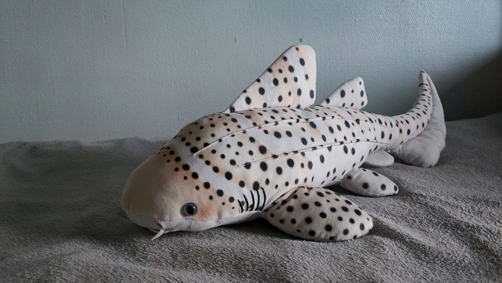 GIF uploaded by Martin