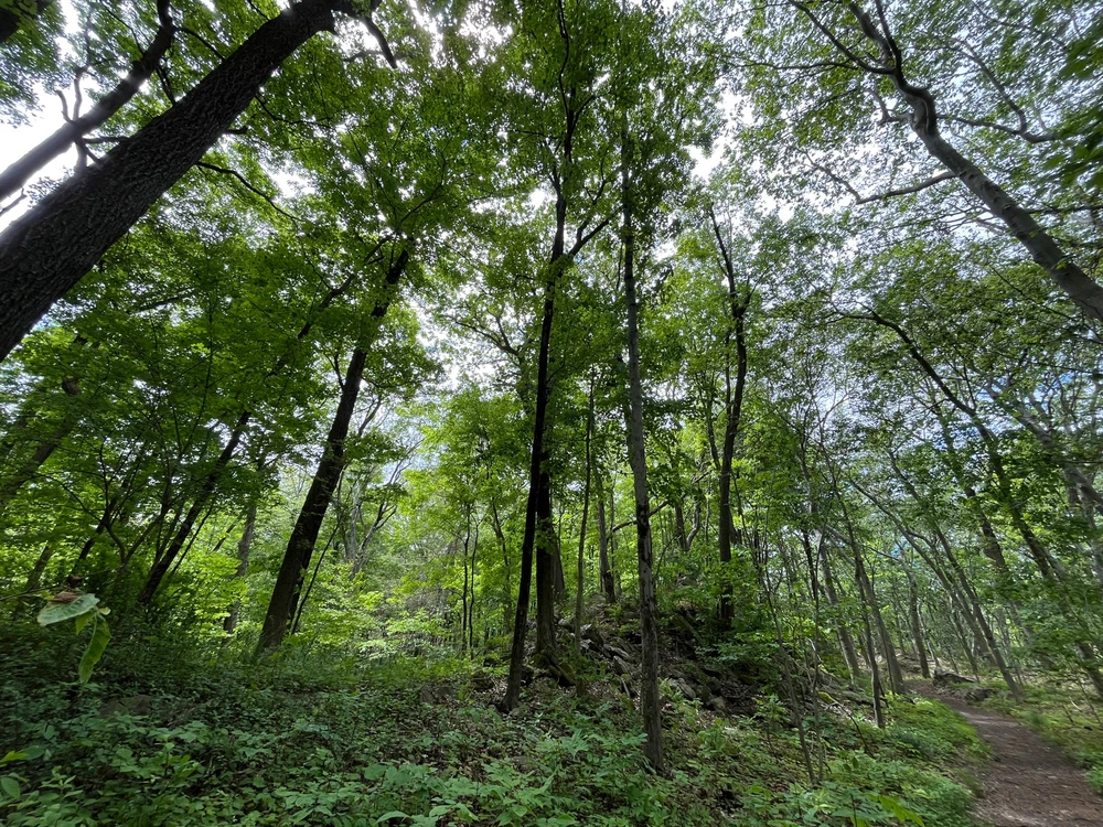 GIF uploaded by Asger