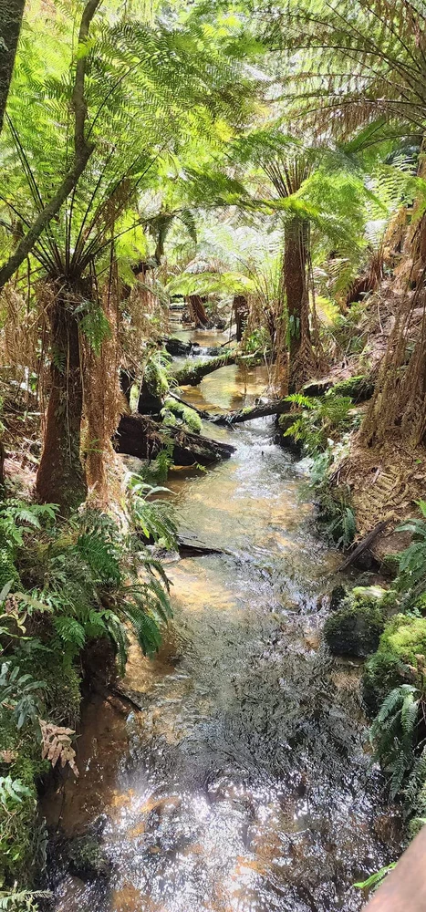 Image uploaded by Celine