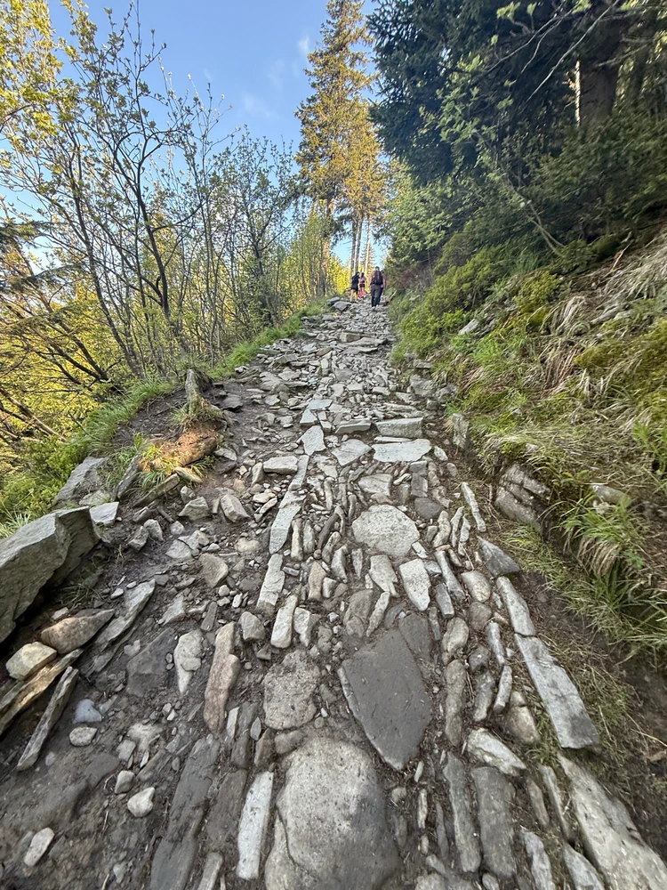 Obrázek nahrál Fidorka