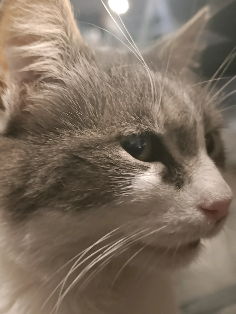 Sergen tarafından yüklenen görsel