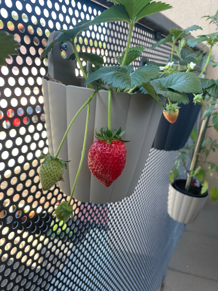 GIF uploaded by Katya