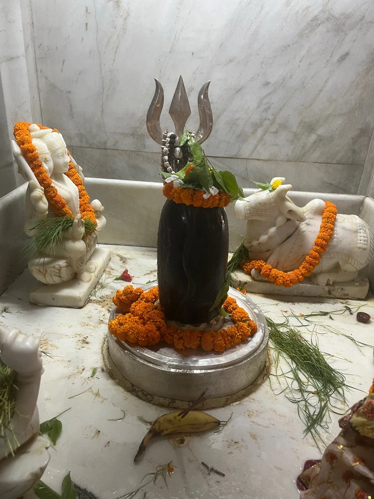 GIF uploaded by Renu