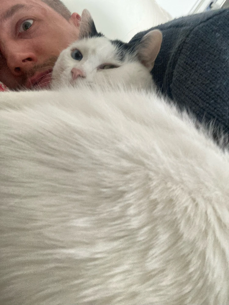 Obrázek nahrál Radek