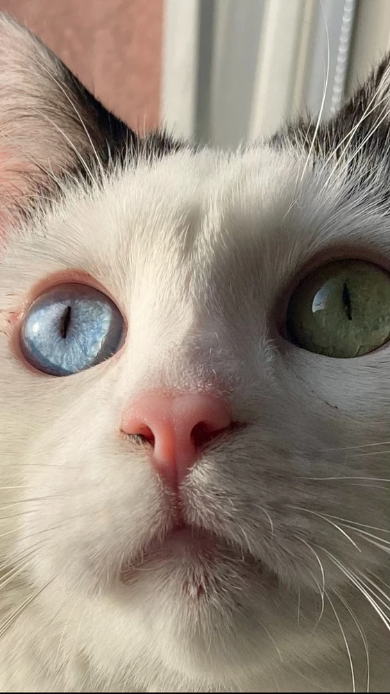 Obrázek nahrál Radek