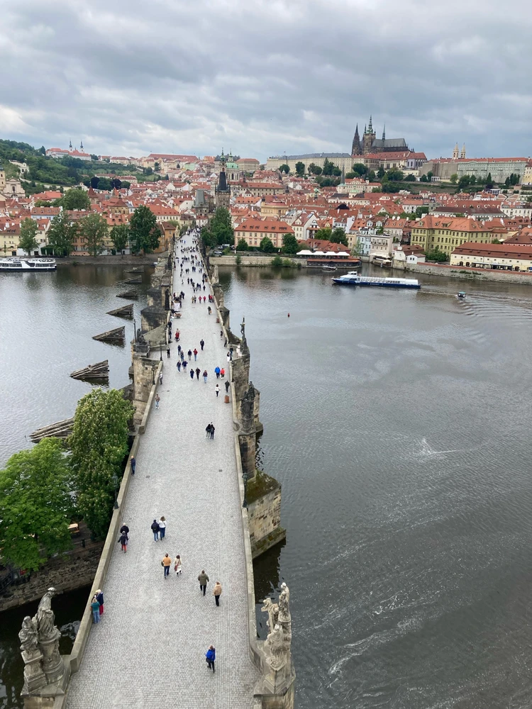 Obrázek nahrál Radek