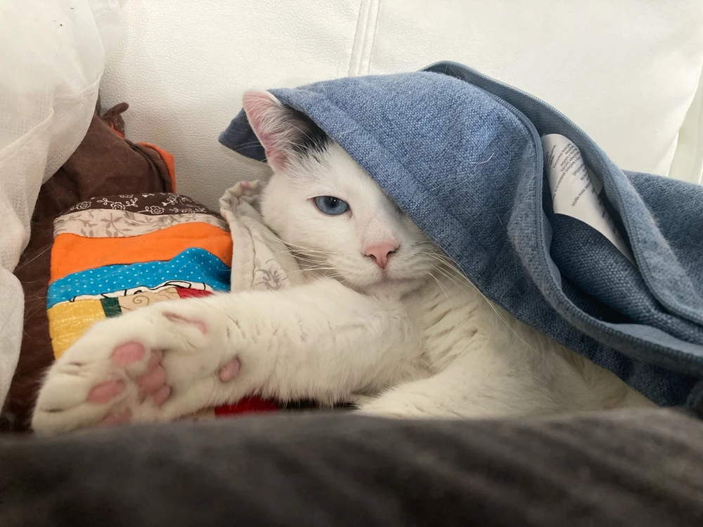 Obrázek nahrál Radek