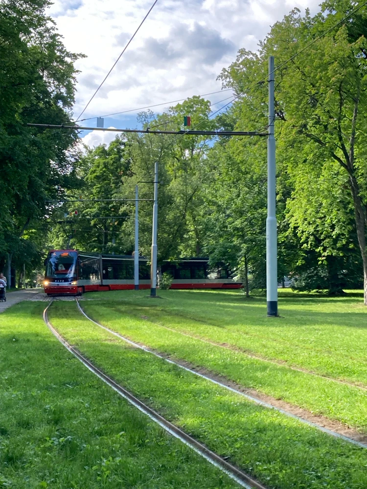 Obrázek nahrál Radek