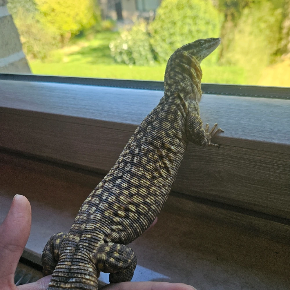 GIF ajouté par Yoline