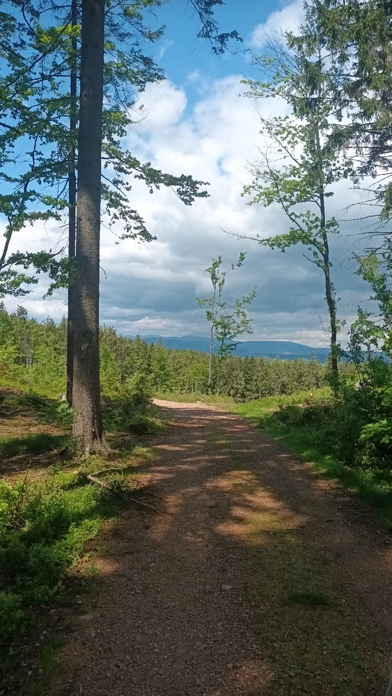Obrázek nahrál Jan Horák