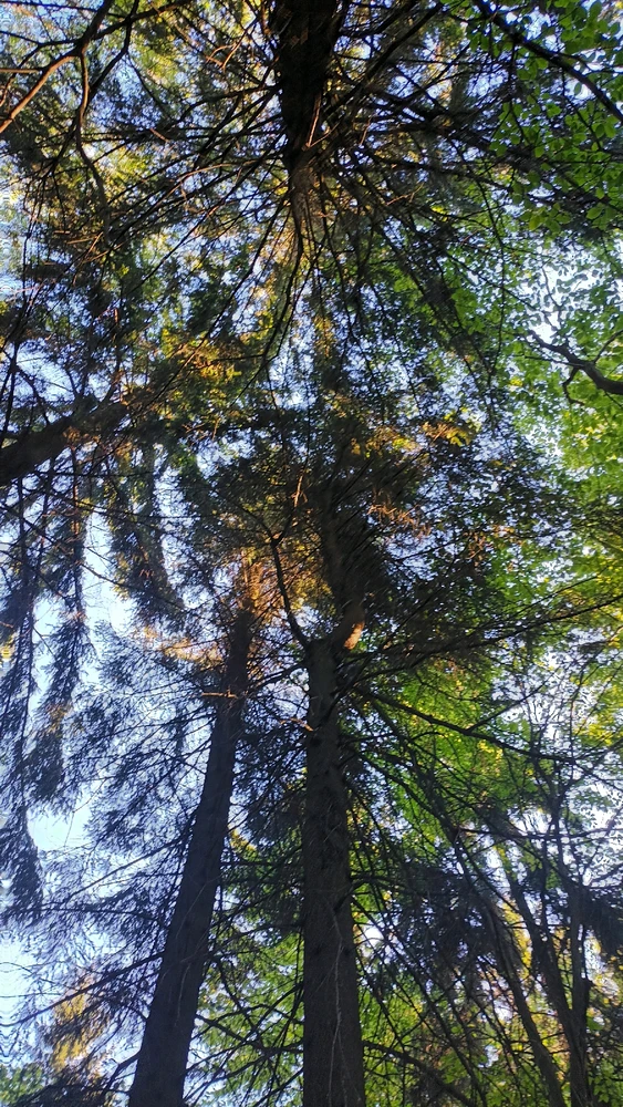 Obrázek nahrál Jan Horák