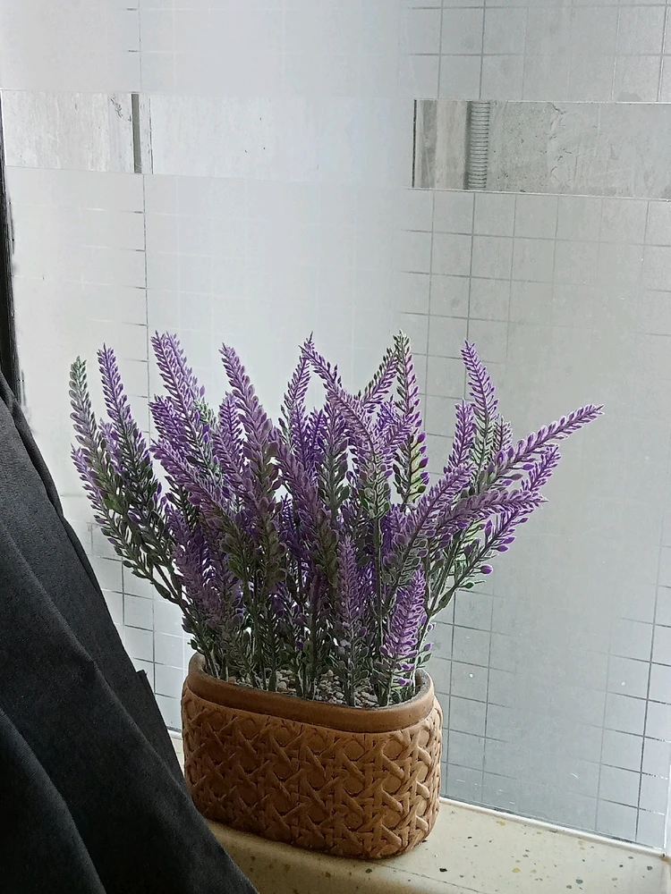 Imej dimuat naik oleh Jennifer