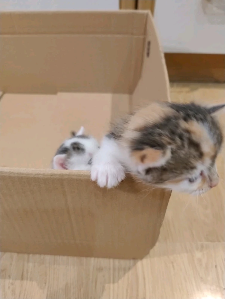 GIF dodany przez Karol