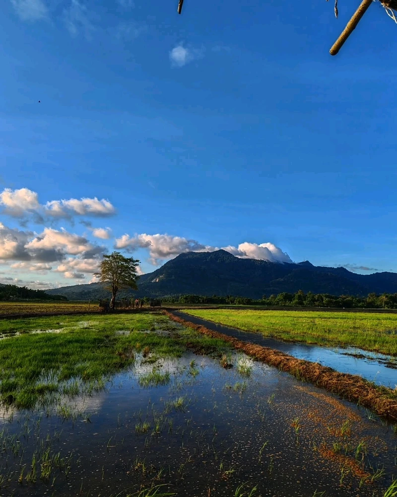 Imej dimuat naik oleh fatin