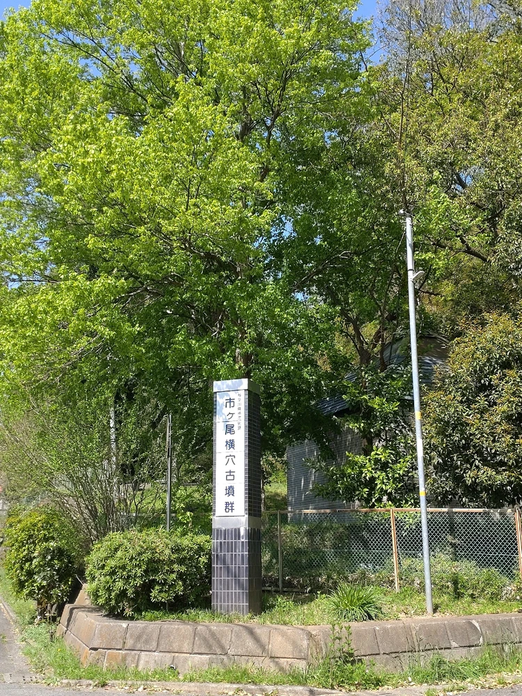 まんじゅがアップロードした画像