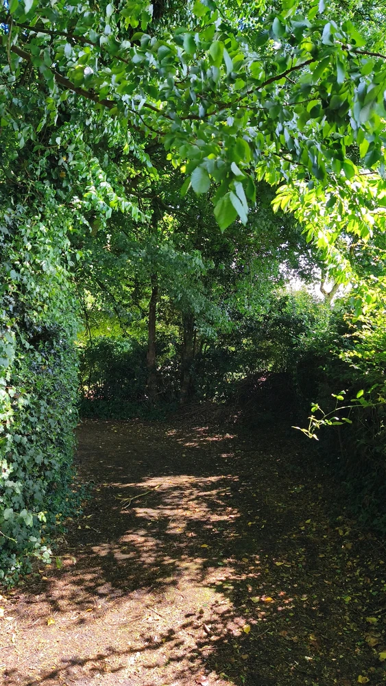 Image ajoutée par Angel