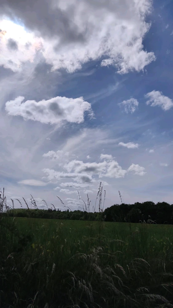 Image ajoutée par Angel