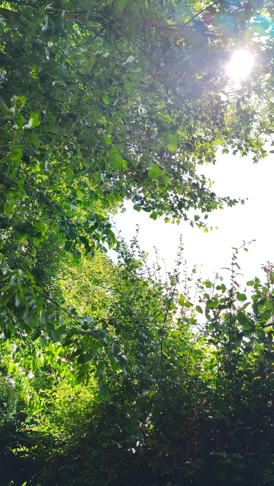 Image ajoutée par Angel