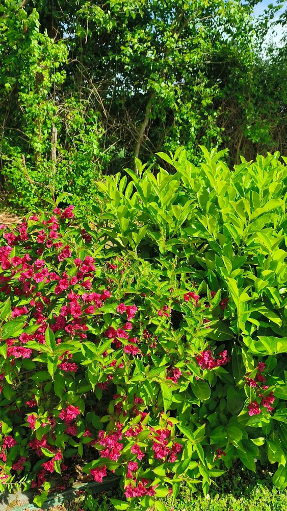 Image ajoutée par Angel