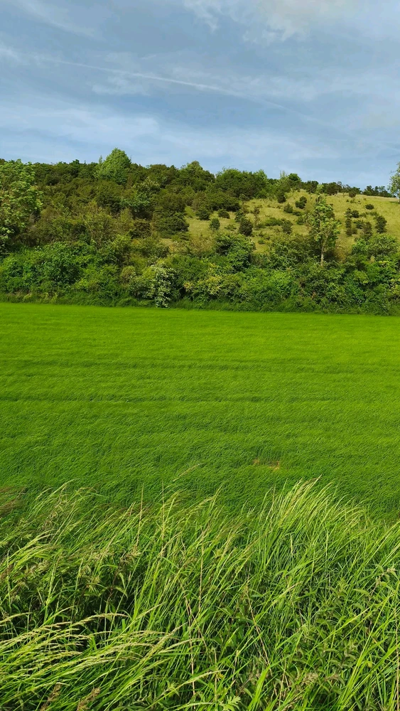 Image ajoutée par Angel