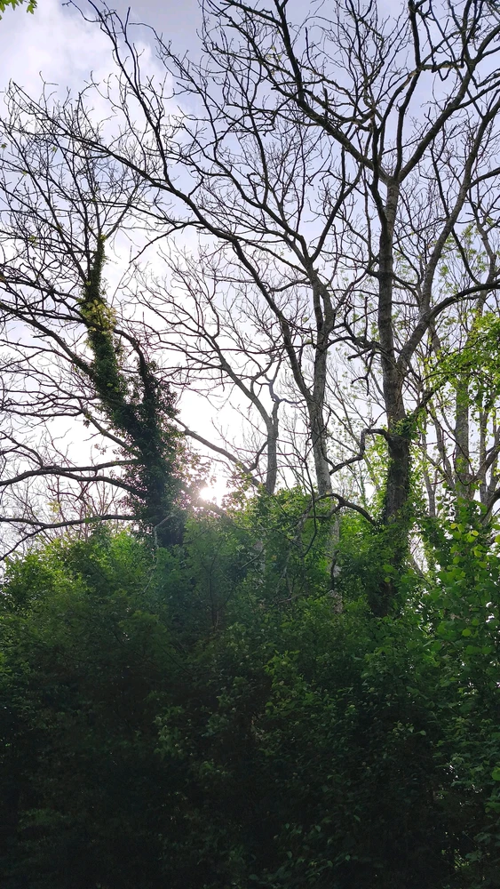 Image ajoutée par Angel