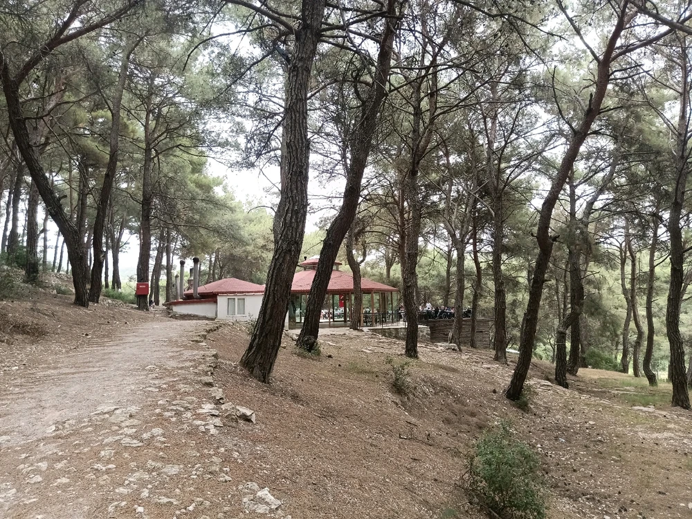 Sensei tarafından yüklenen görsel