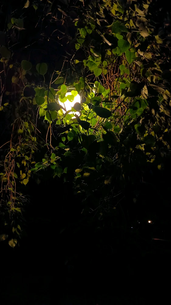 GIF uploaded by Bhavishya Singla