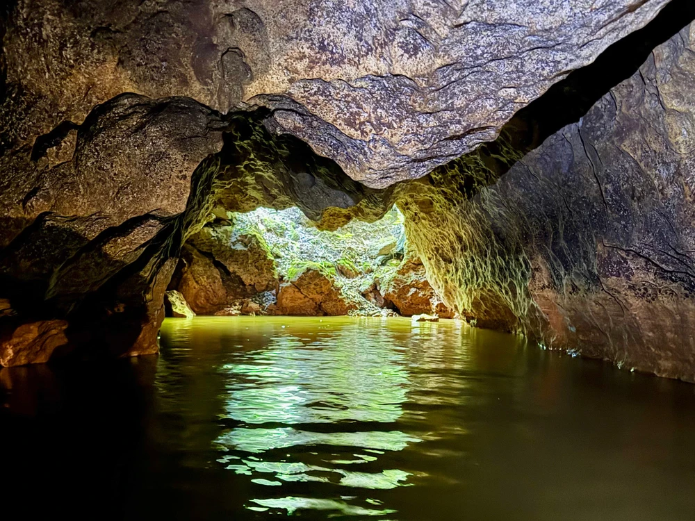 Image uploaded by Nicole