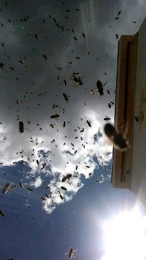 Gambar diunggah dening Chandler