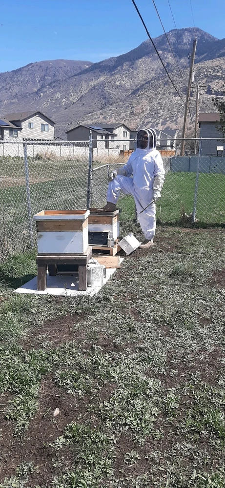 Gambar diunggah dening Chandler